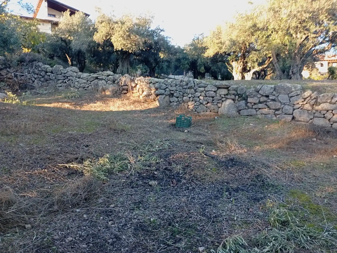 Terreni e lotti in vendita a Villanueva de la Vera, imagen 30