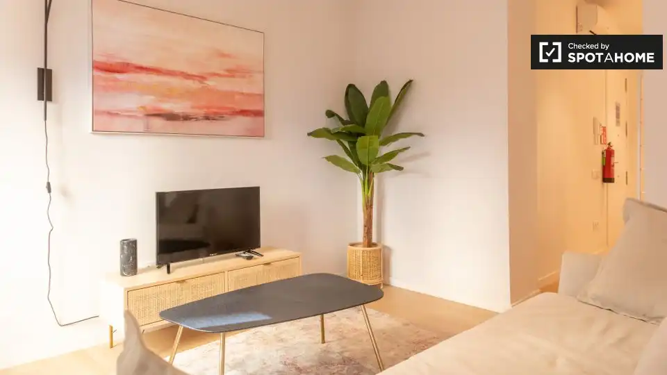 Wohnung mit Terrasse zur Miete in Centro, imagen 8