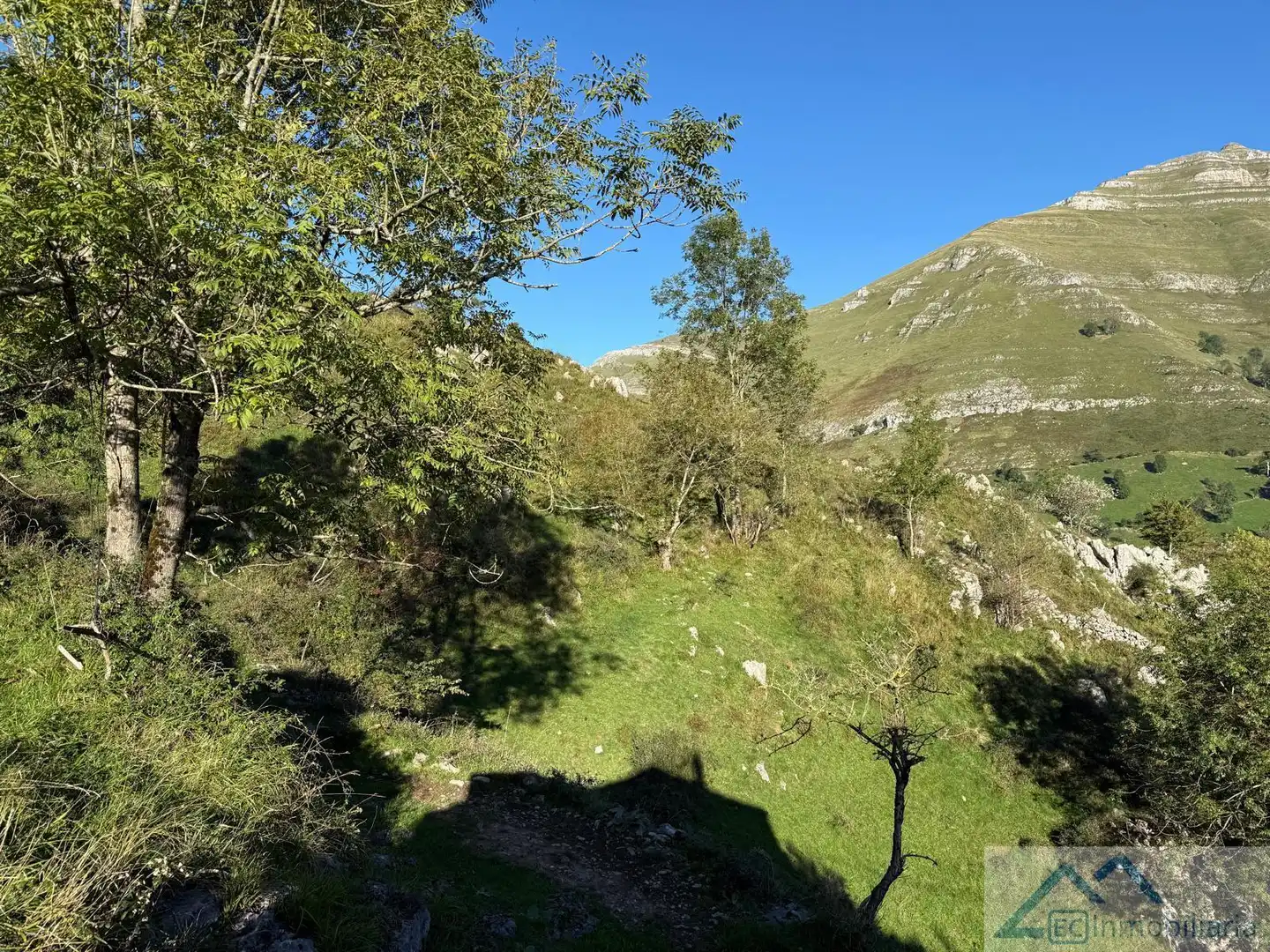 Finca rústica en venta en Ruesga