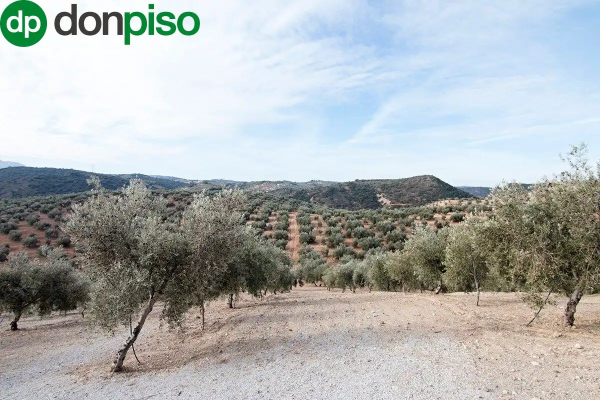 Casa rústica en venda a CORTIJO LA BARRAGANA, imagen 18