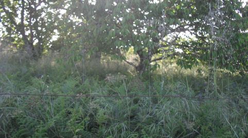 Foto 5 de Casa o chalet en venta en Carretera Marco, Sardoma - Castrelos, Vigo