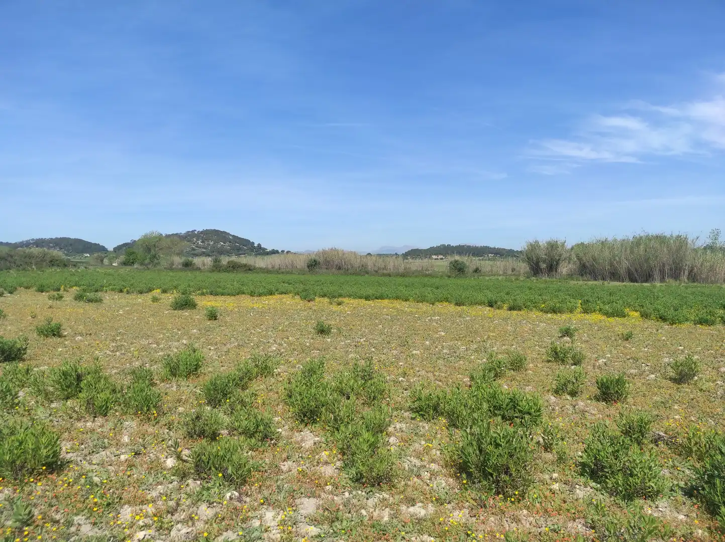 Casa rústica en venta en Sineu, imagen 18