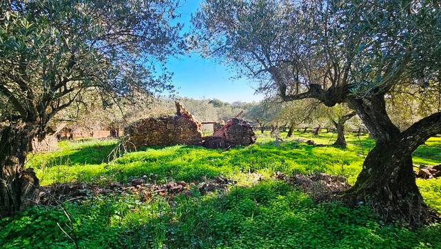Terreno en Venta en Higuera de la Sierra