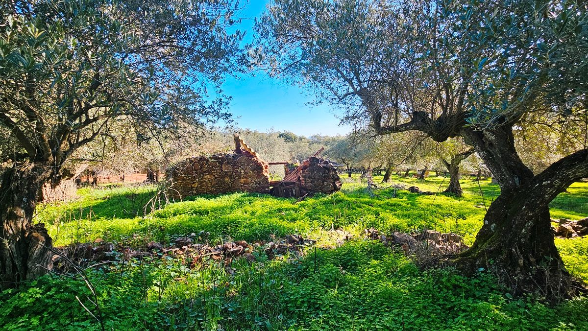 Land for sale in Higuera de la Sierra
