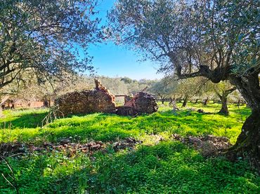 Terreno rustico in vendita a Higuera de la Sierra