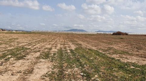 Foto 3 de Finca rústica en venta en Los Martinez del Puerto, Murcia Capital