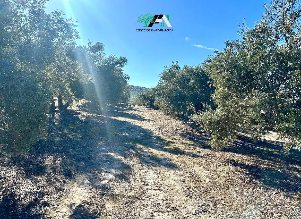 Terreni e lotti in vendita a Jódar, imagen 14