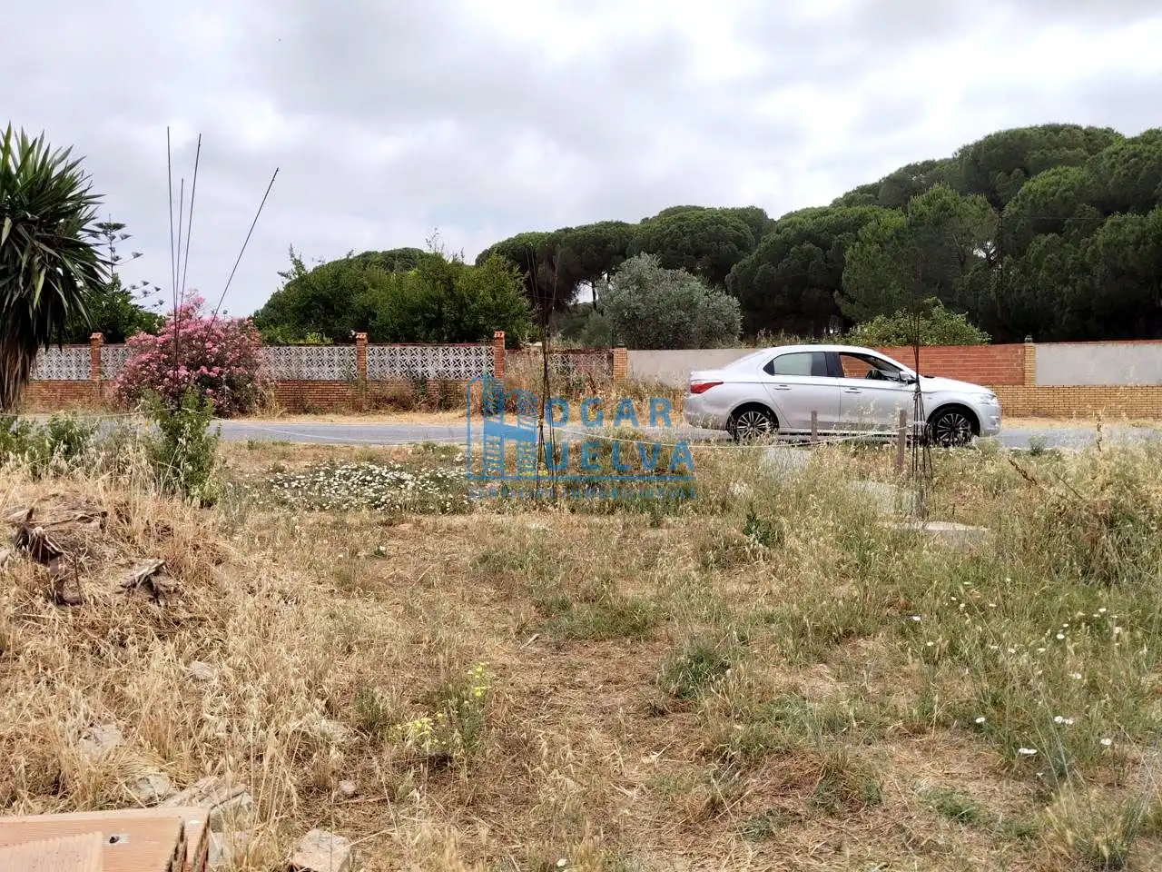 Houses for sale in Bonares  with Terrace