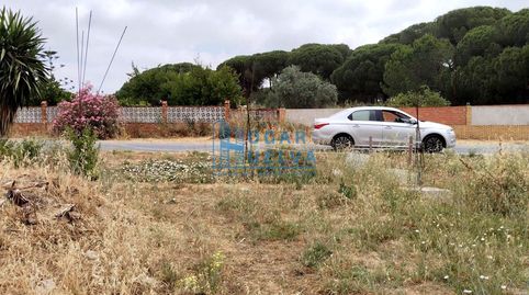 Photo 5 of Houses for sale in Huerta Hambre, Bonares, Huelva