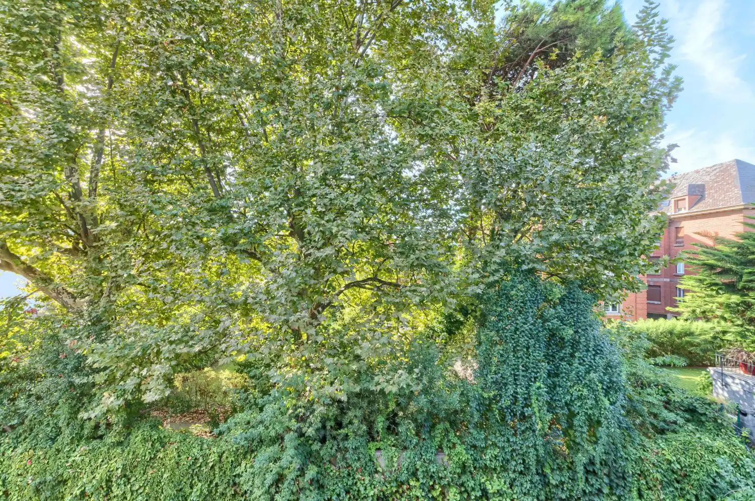 Appartamento con ascensore in vendita a El Pinar 3, imagen 67