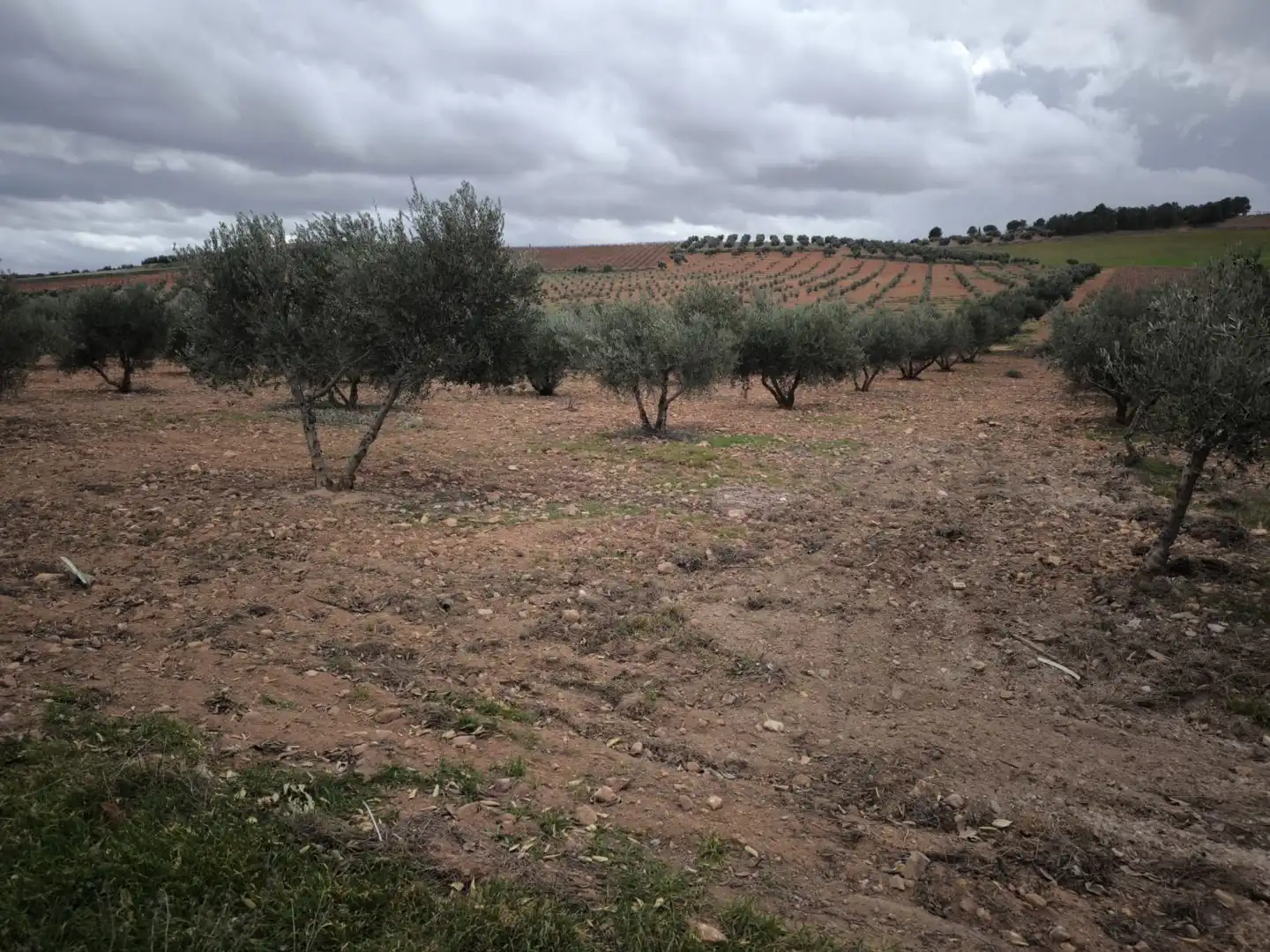 Casa rústica en venda a Valdepeñas, imagen 16