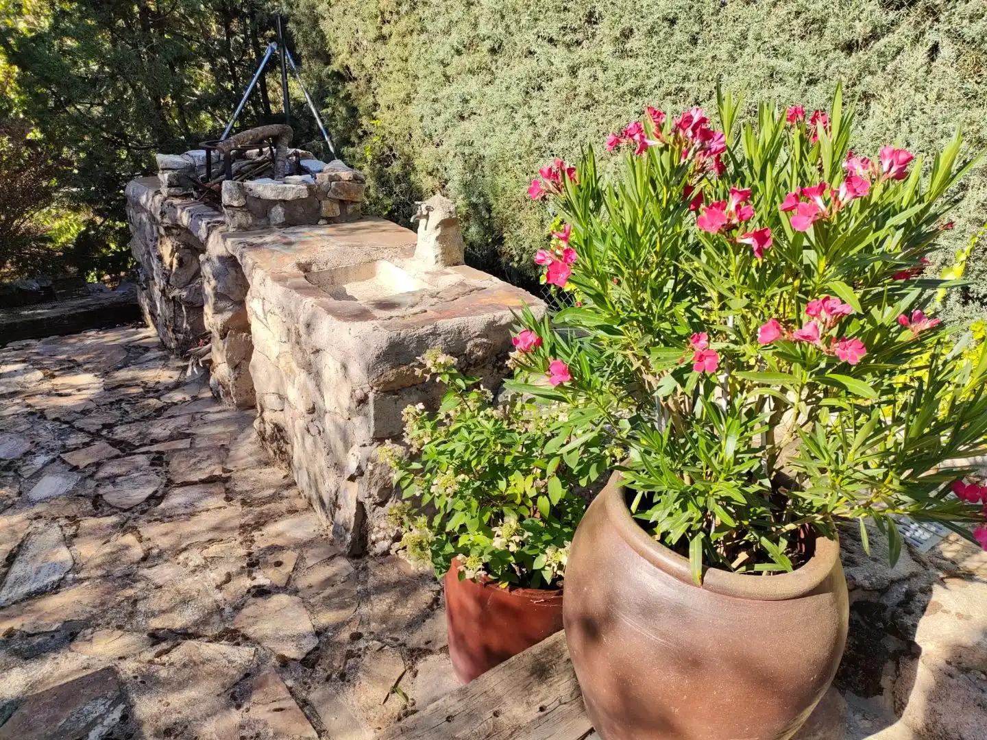 Jardí de Casa o xalet en venda en El Espinar amb Calefacció, Jardí privat i Parquet