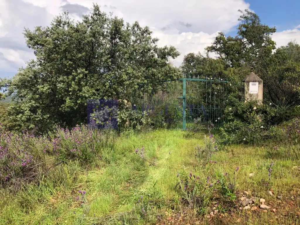 Finca rústica en venta en Aliseda