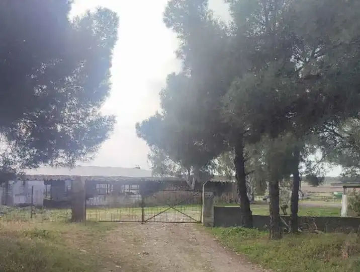 Industrial buildings for sale in Arroyomolinos (Cáceres)