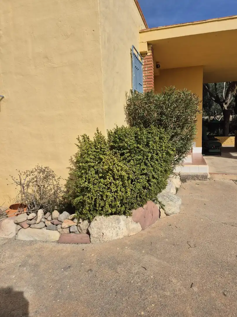 Detached house for sale in Marines, imagen 8
