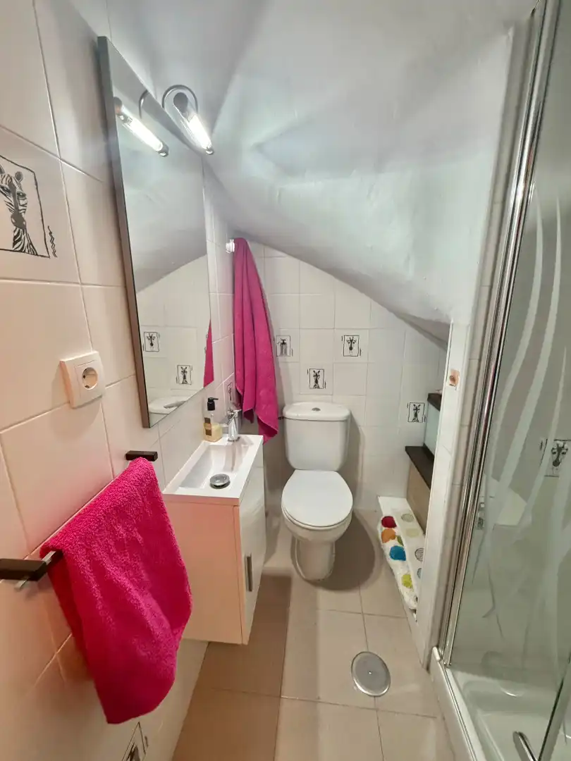 Casa in vendita a Calle Pintor Fausto Olivares, imagen 11