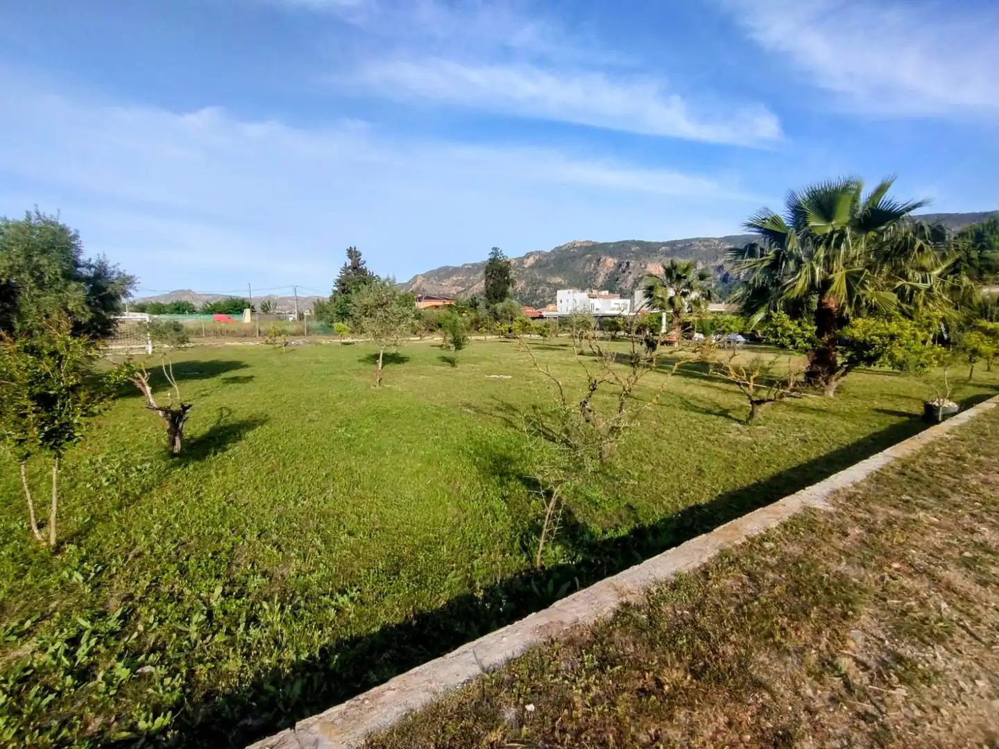 Terreny rústic en venda a Pedanías Este