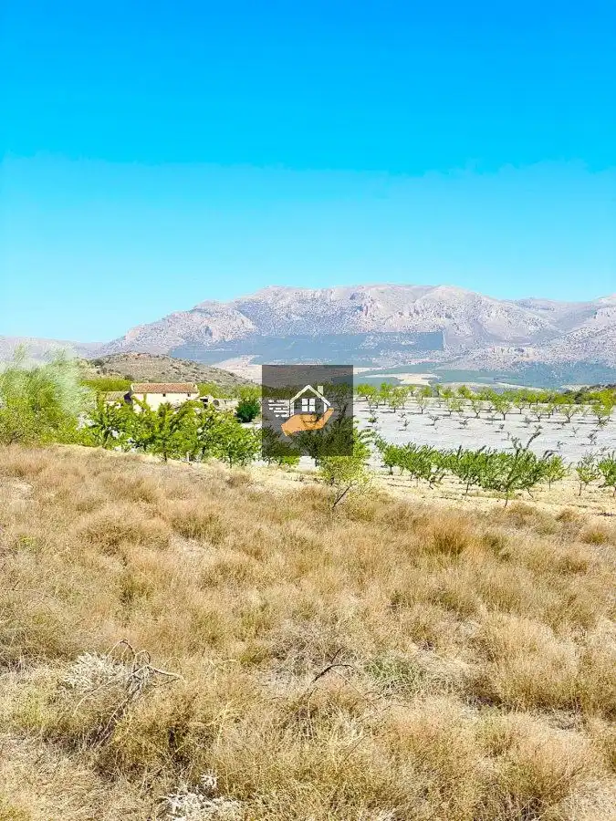 Finca rústica en venda en Chirivel
