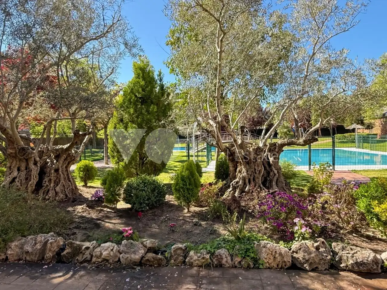 Planta baja de alquiler en Golf - El Carralero