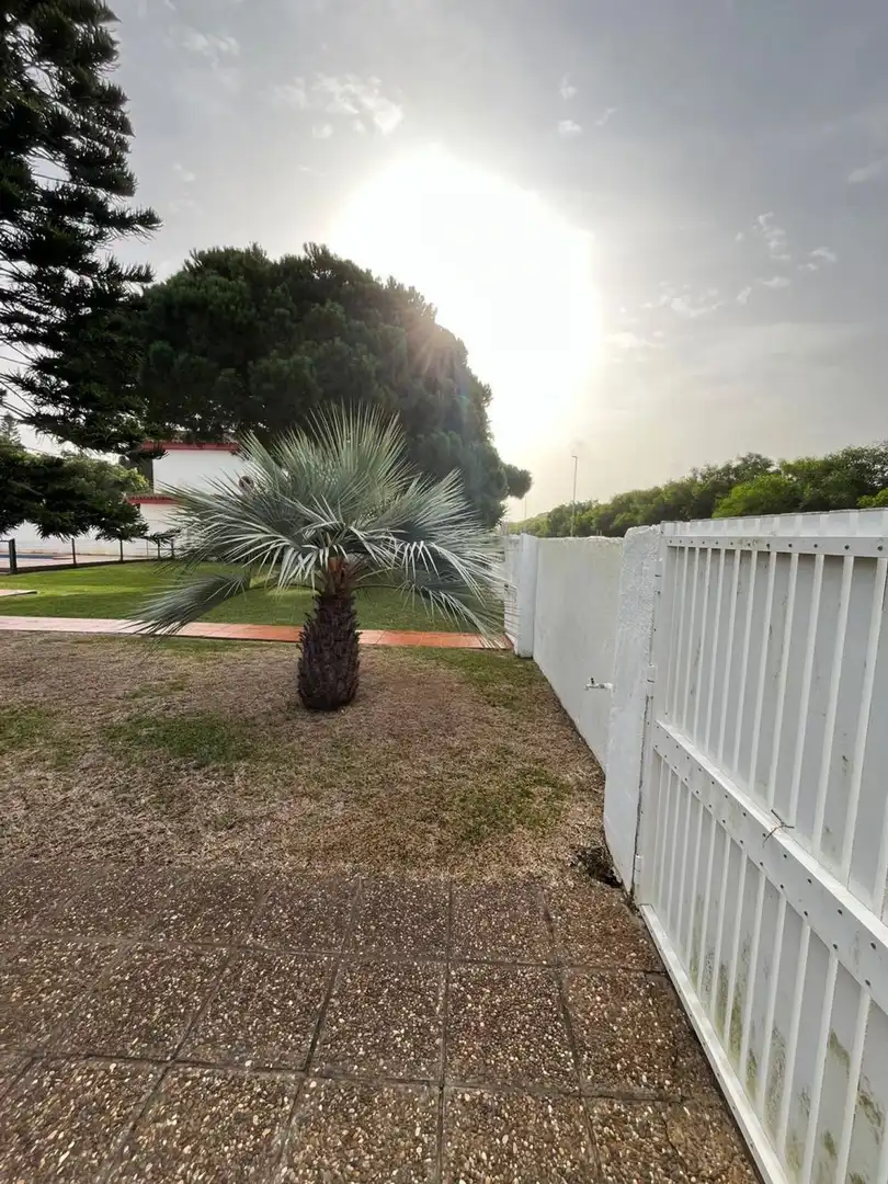 Garden of Houses for sale in Chiclana de la Frontera