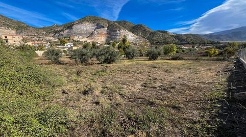 FINCA RÚSTICA A UN PASO DE PADUL, immagine 4