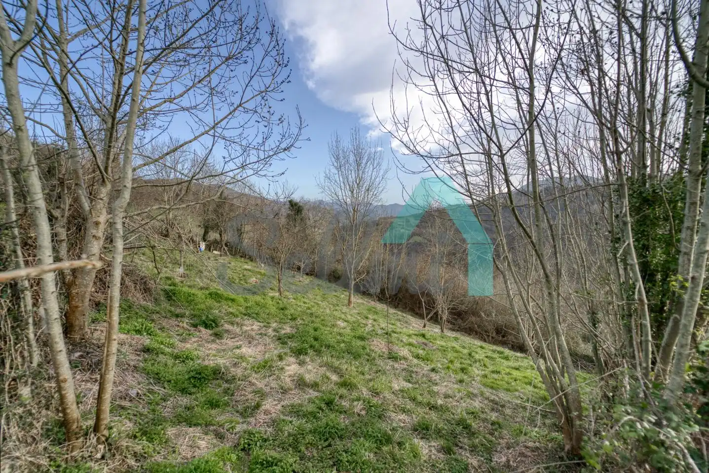 Logement à vendre à La Maderada, imagen 82