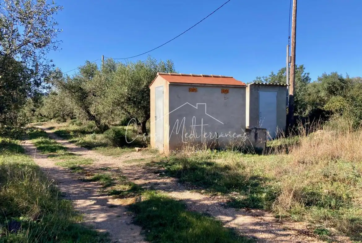 Terreny rústic en venda a Partida Planes 33, imagen 10
