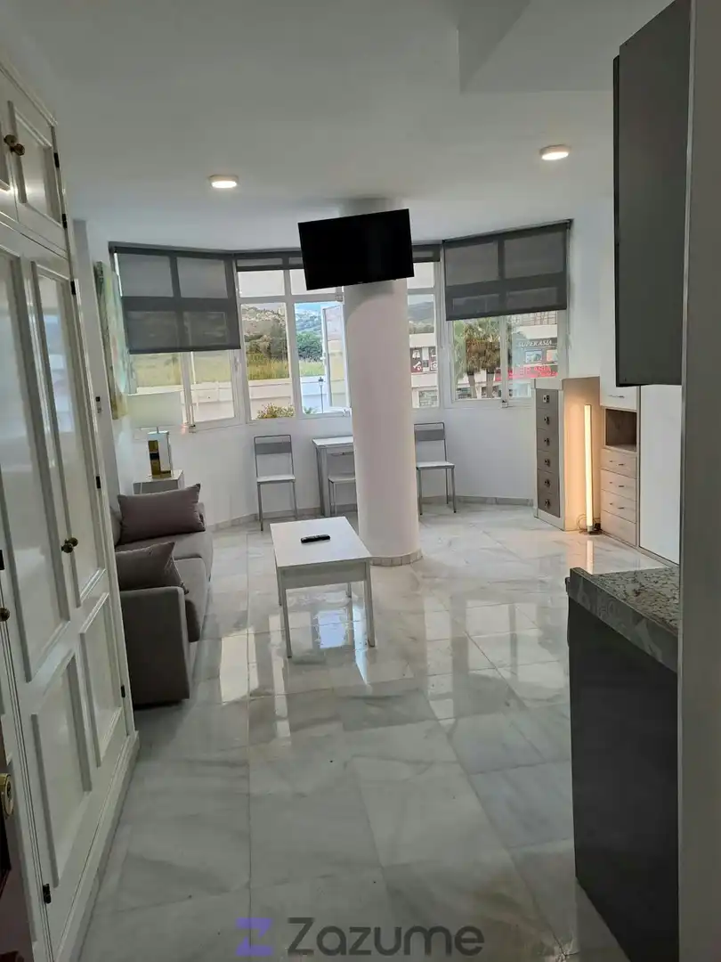Sala d'estar de Estudi de lloguer en San Luis de Sabinillas