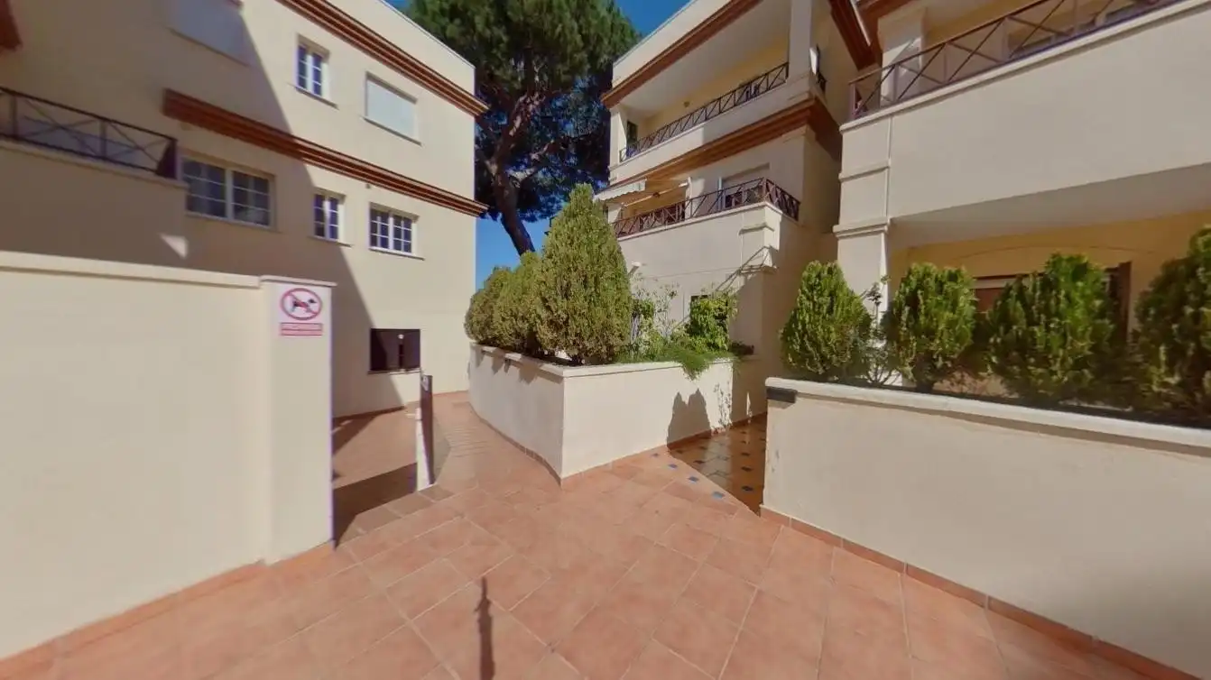 Vista exterior de Dúplex en venta en Marbella