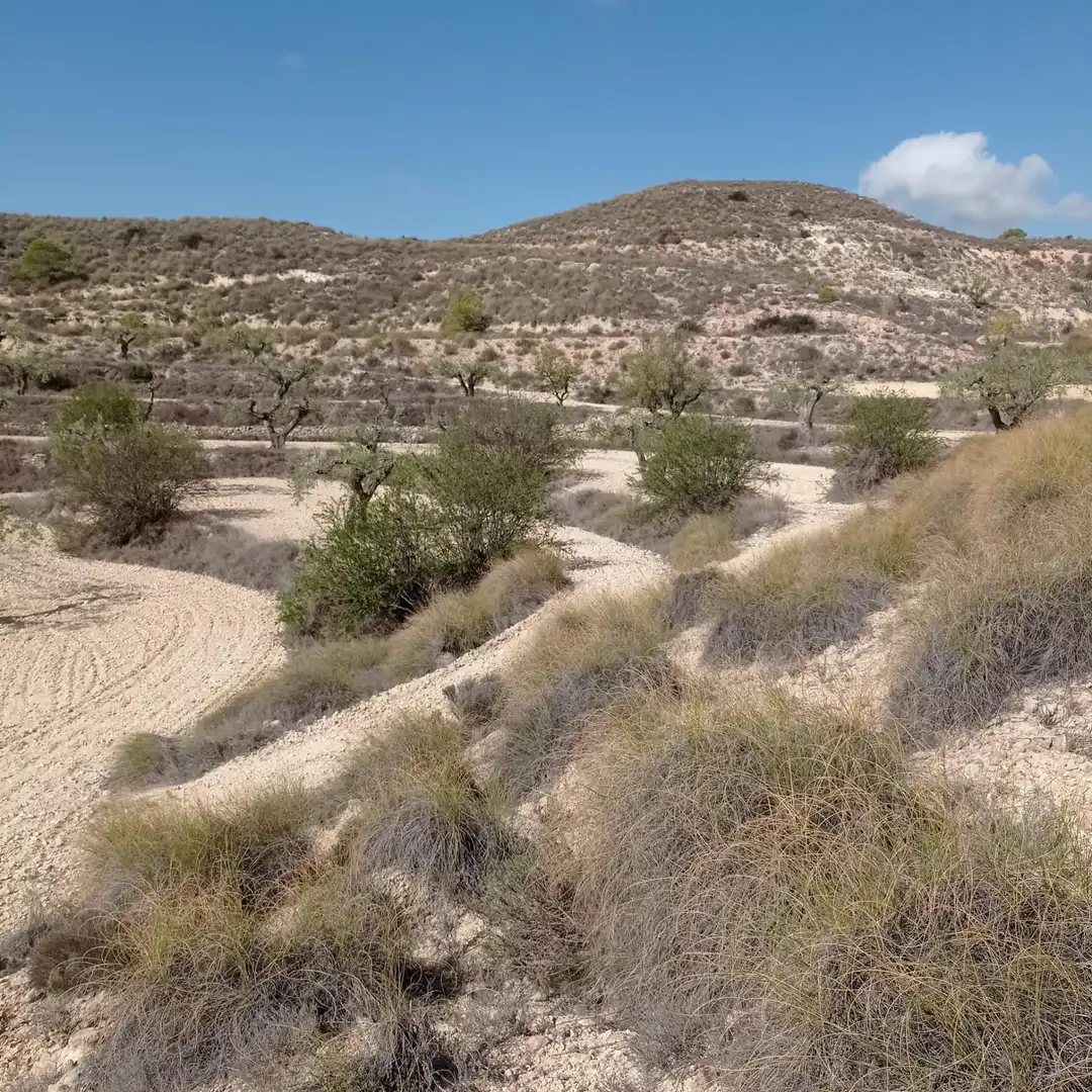 Terrain rustique à vendre à Hondón de las Nieves / El Fondó de les Neus, imagen 9