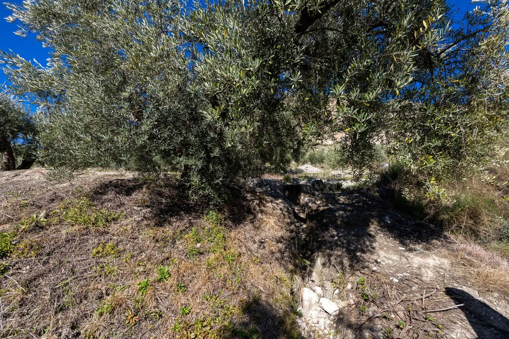 Terreni e lotti in vendita a Dúrcal, imagen 24