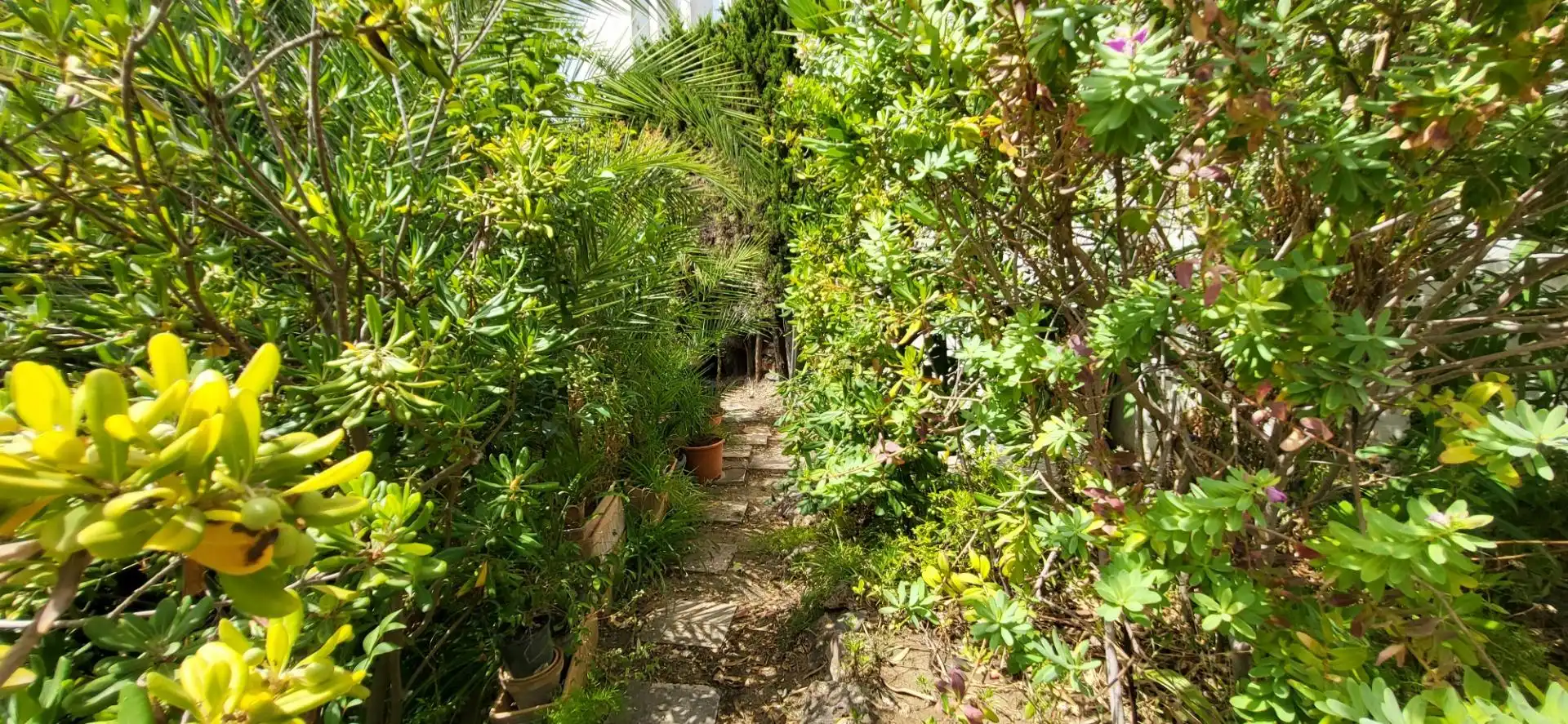 Detached house with terrace for sale in Nueva Andalucía, imagen 68