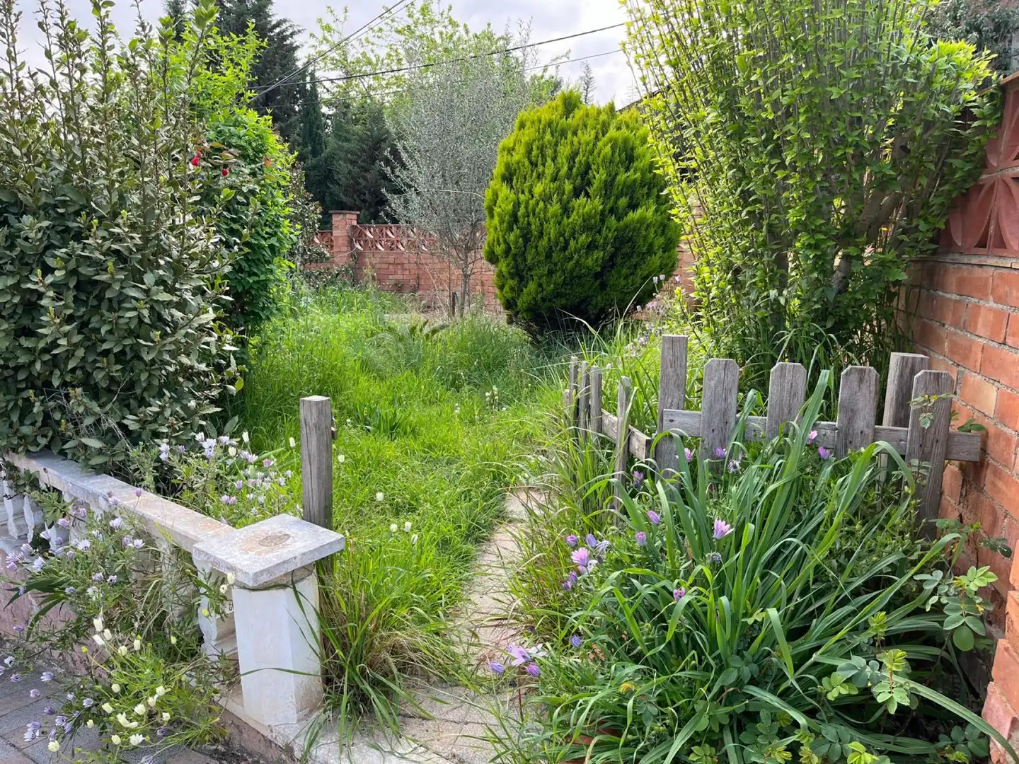 Villa con giardino in vendita a de Vilanova, imagen 27