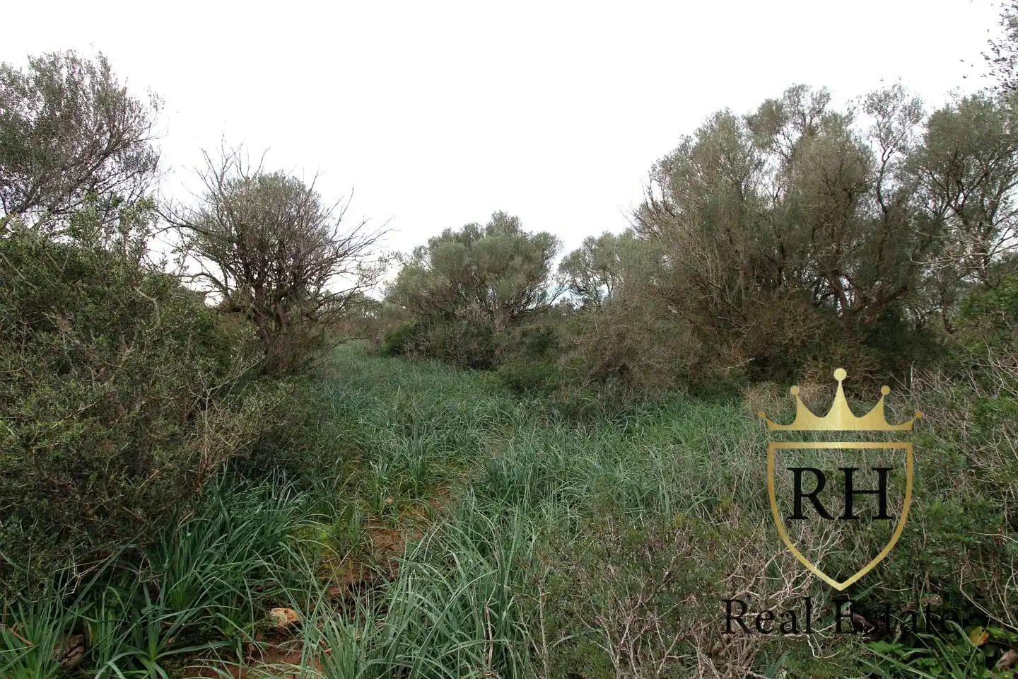 Lands and plots for sale in POLIGONO 49 PARCELA 3, imagen 18