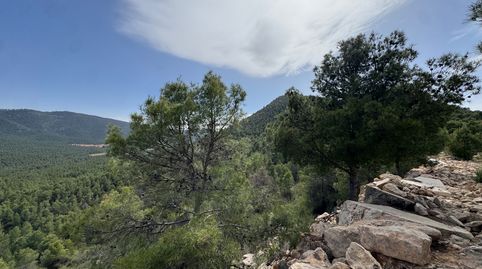 🌿 FINCA ÚNICA EN VENTA EN CEHEGÍN – NATURALEZA, PRODUCCIÓN Y FUTURO EN UNA SOLA PROPIEDAD 🌿, imatge 4