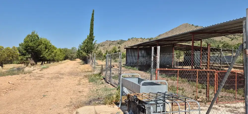 Terreno en venta en Hellín