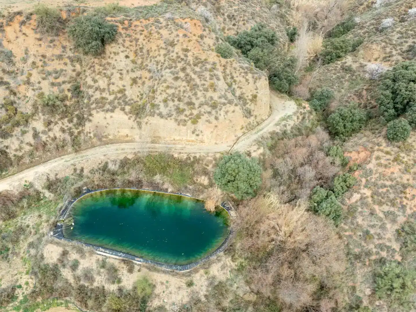 Piscina de Finca rústica en venda en Cádiar
