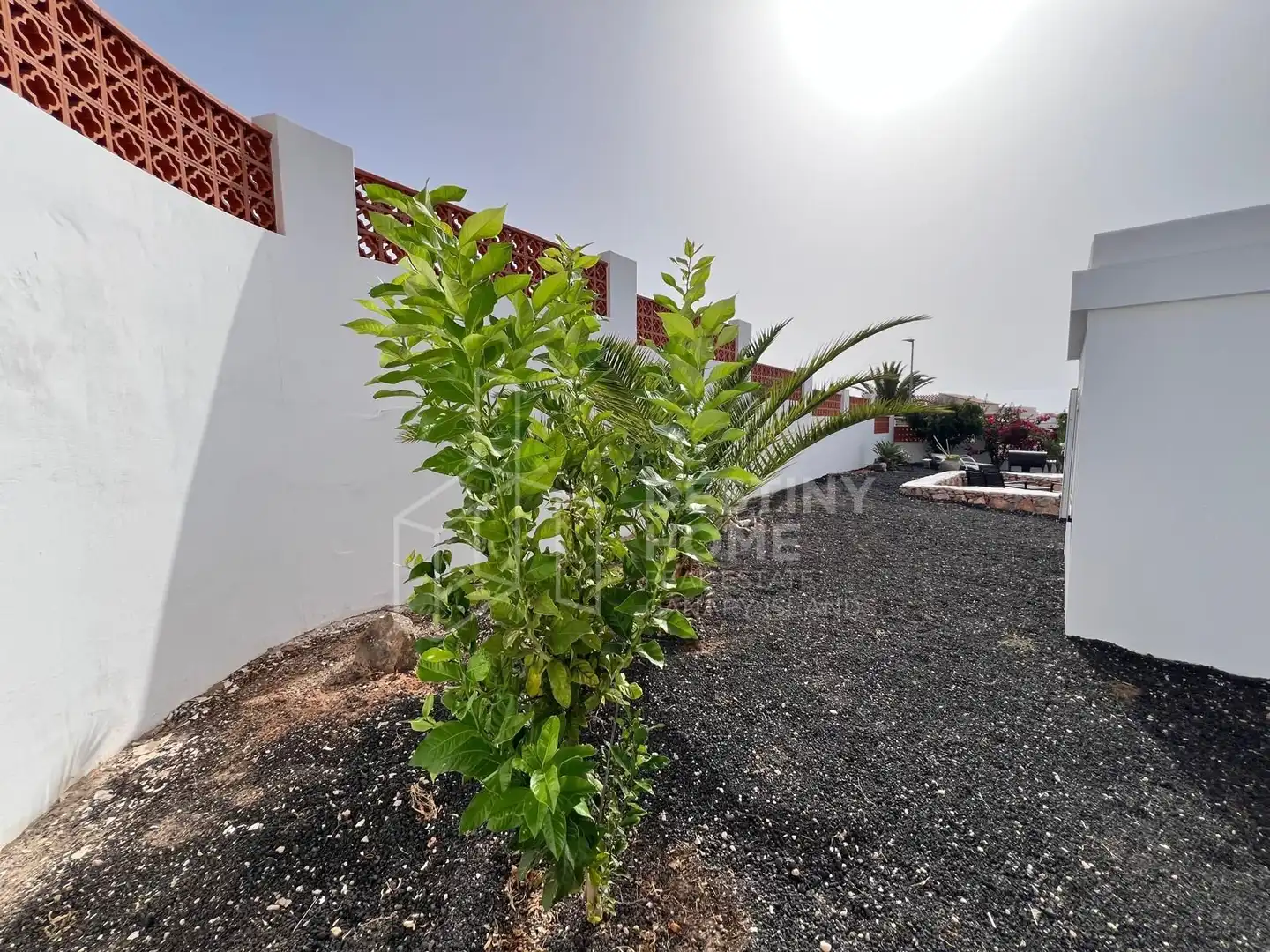 Casa o xalet en venda en La Oliva amb Jardí privat, Terrassa i Traster