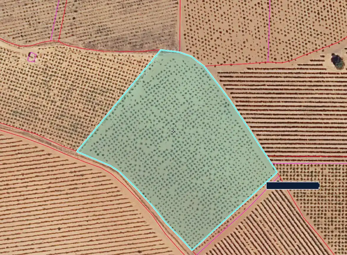 Casa rústica en venda a Valdepeñas, imagen 22
