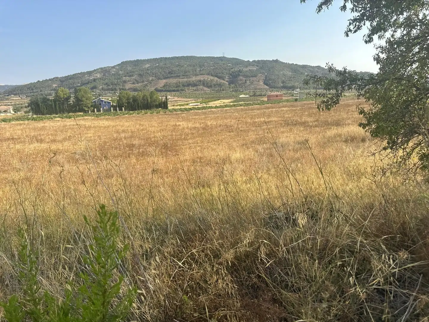 Residential land for sale in El Pinós / Pinoso, imagen 7
