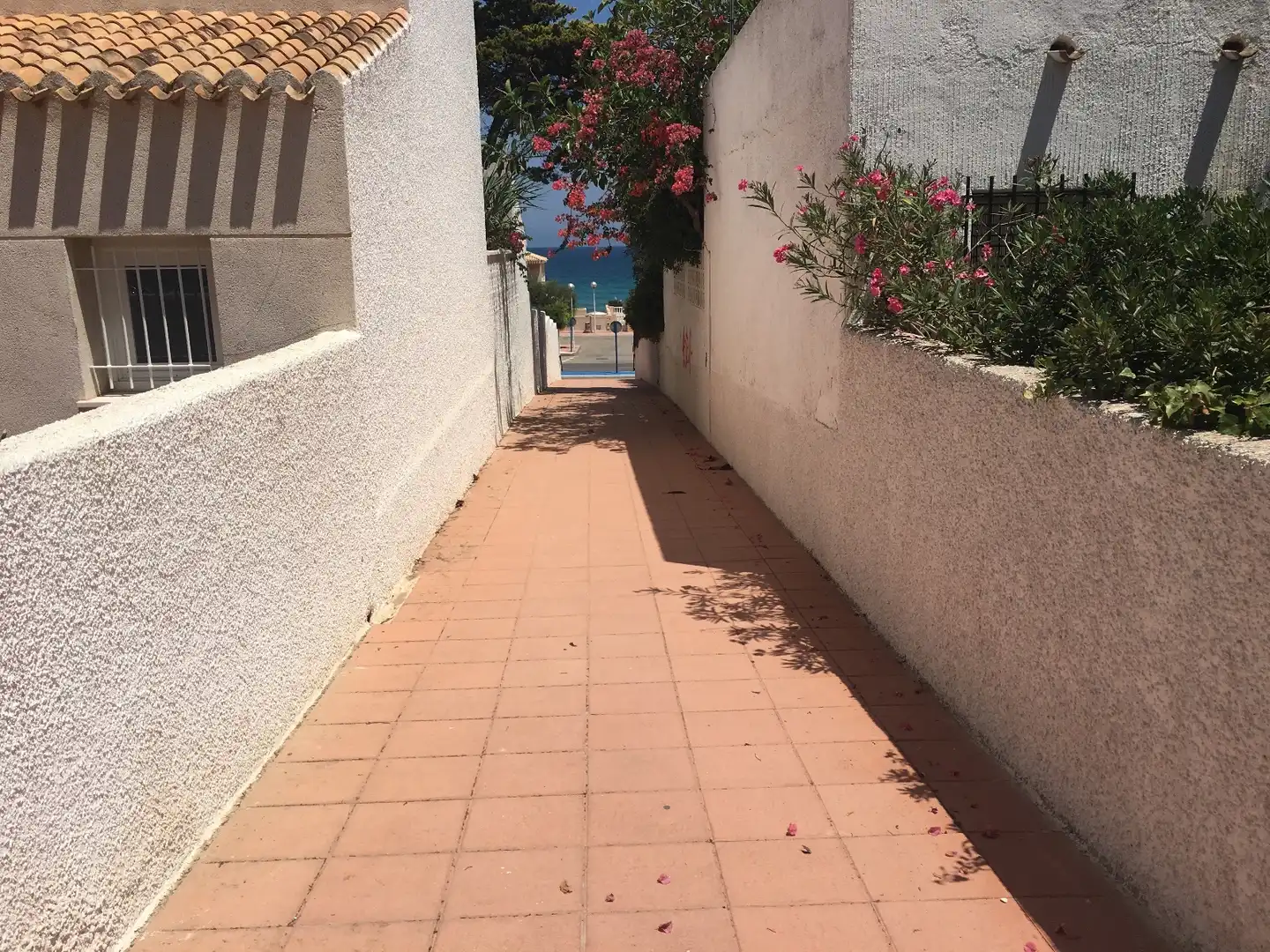 Appartement compact avec terrasse à louer à Playa de las Gaviotas - El Pedrucho, imagen 6
