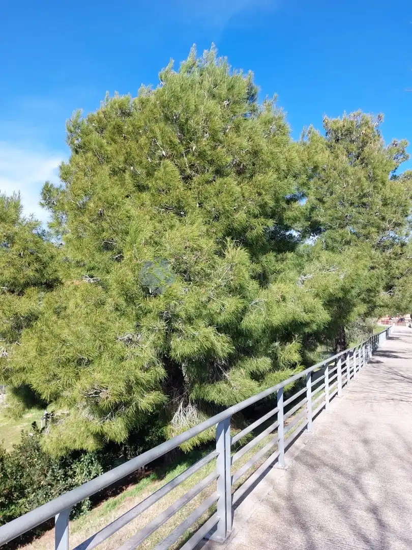 Dachboden zum Verkauf in GIRONA, Les Franqueses del Vallès