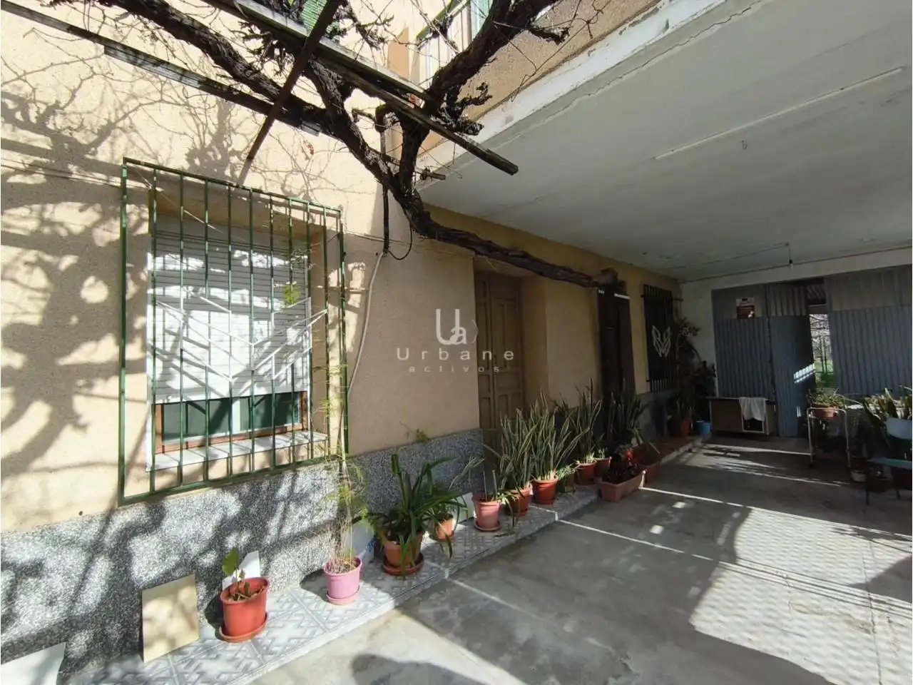 Vista exterior de Finca rústica en venta en  Murcia Capital con Terraza