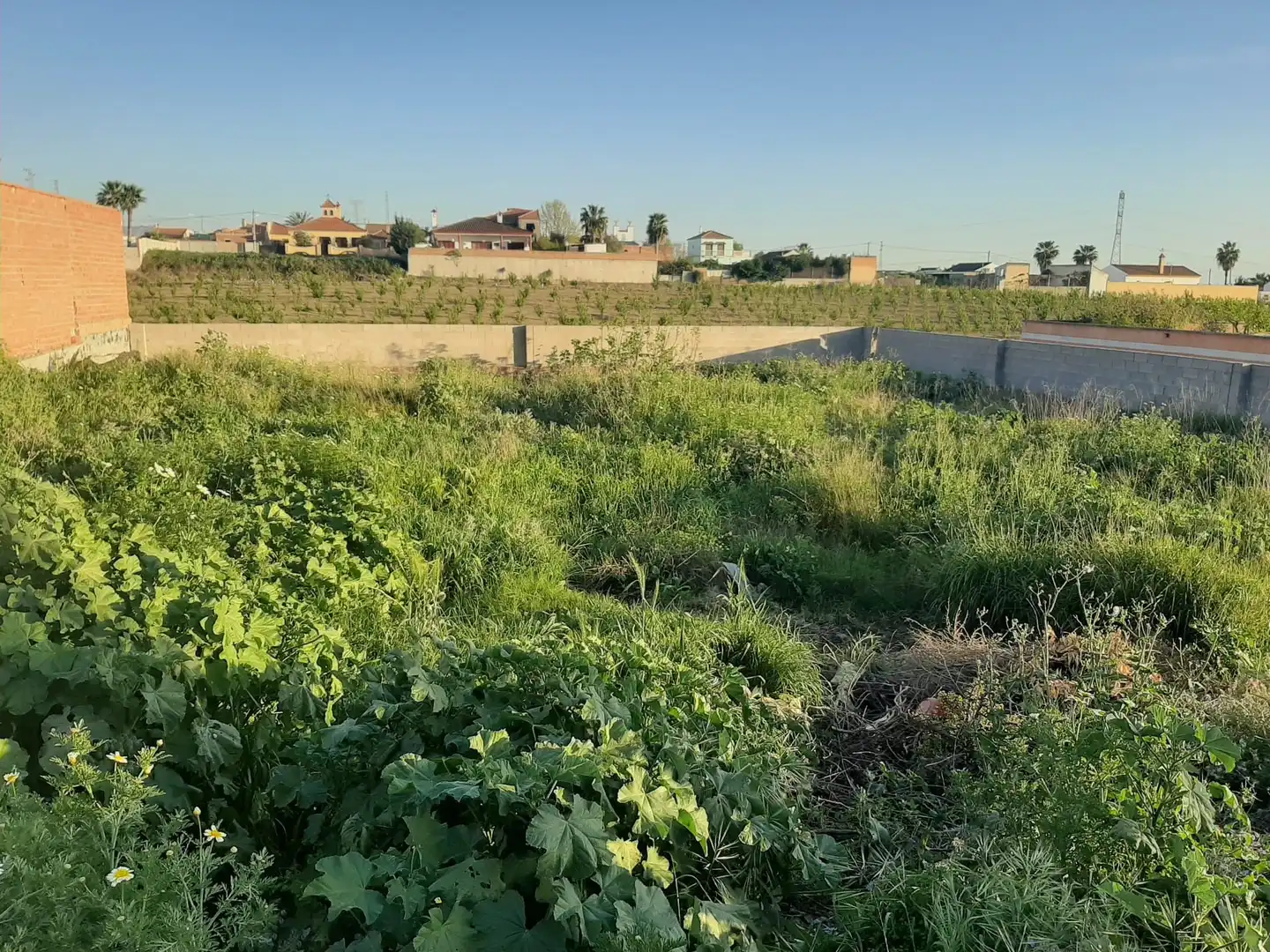 Terrenys i solars en venda a Villaverde del Río, imagen 3