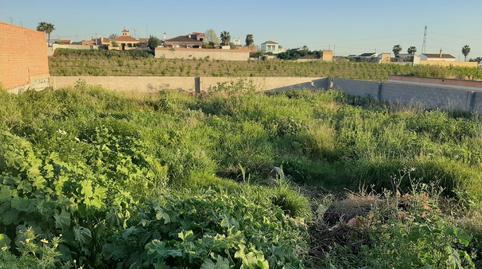 Foto 3 de Residencial en venta en Calle Regajo Hondo, 13, Villaverde del Río, Sevilla
