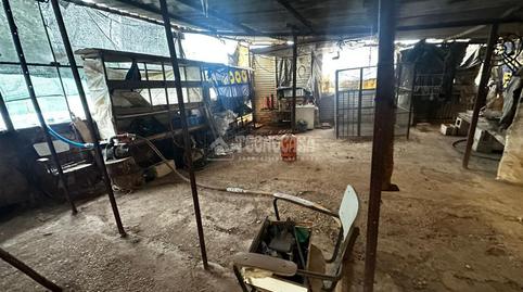 Foto 5 de Finca rústica en venta en Alcolea,  Córdoba Capital