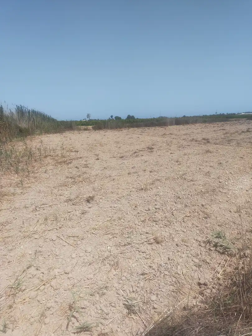 Terrain rustique à vendre à La Foia - Daimés - Asprella, imagen 10