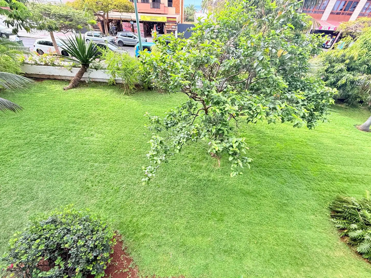 Estudi en venda en Puerto de la Cruz amb Terrassa i Moblat