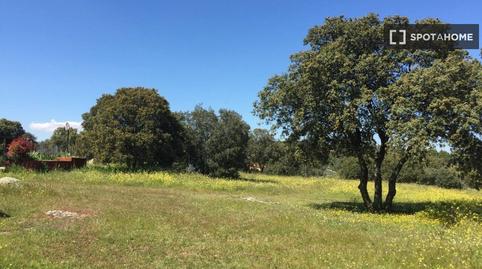 Foto 5 de Habitació a Montecarmelo, Madrid Capital