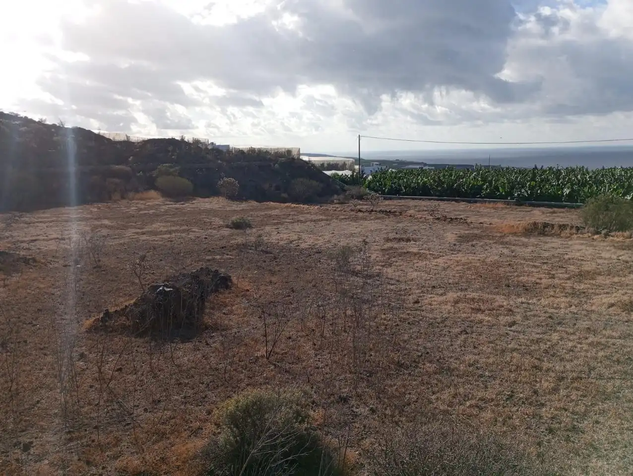 Rural land for sale in Alcalá, imagen 2